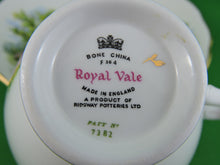 Load image into Gallery viewer, Tea Cup - Royal Vale - Pattern #7382 - Fine Bone China Tea Cup and Matching Saucer
