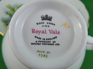 Tea Cup - Royal Vale - Pattern #7382 - Fine Bone China Tea Cup and Matching Saucer