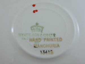 Tea Cup - Myott, Son & Co Ltd - Manchuria 1341B - Hand Painted - China Tea Cup and Saucer