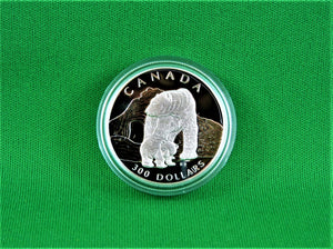 Currency - Platinum 4 Coin Set - 1990 - RCM - Canadian Polar Bear Issue