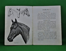 Charger l&#39;image dans la galerie, Book - 1909 - How to Tell a Horses Disposition at Sight - By Prof. Jesse Beery
