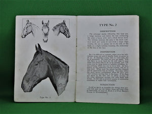 Book - 1909 - How to Tell a Horses Disposition at Sight - By Prof. Jesse Beery