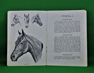 Book - 1909 - How to Tell a Horses Disposition at Sight - By Prof. Jesse Beery