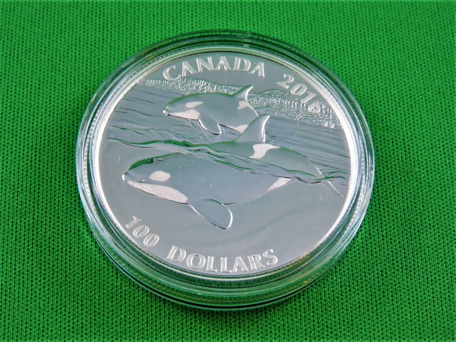Currency - Silver Coin - $100 - 2016 - RCM - The Orca - Ruler of
