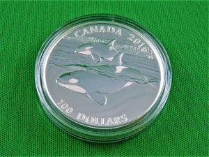 Currency - Silver Coin - $100 - 2016 - RCM - The Orca - Ruler of the Seas