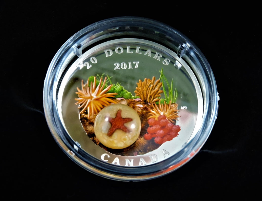 Currency - Silver Coin - $20 - 2017 - RCM - Under the Sea: Sea Star