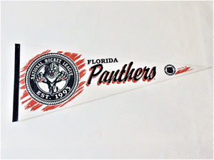 Pennant Flag - Florida Panthers