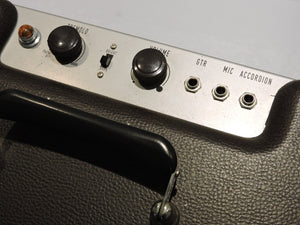 Musical Instruments -  Fender Excelsior Tube Guitar Combo Amplifier