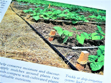 Charger l&#39;image dans la galerie, Book - Gardening - 1990 - Better Homes and Gardens - New Garden Book
