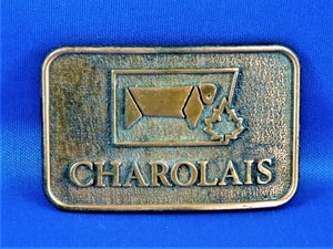 Belt Buckle - Charolais Bull