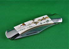 Load image into Gallery viewer, Knife - Coast Stainless Folding Pocket Knife
