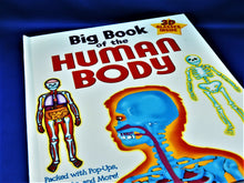 Load image into Gallery viewer, Children&#39;s Book - Big Book of the Human Body
