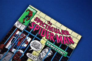 Marvel Comics - The Spectacular Spiderman - #151 - June 1989